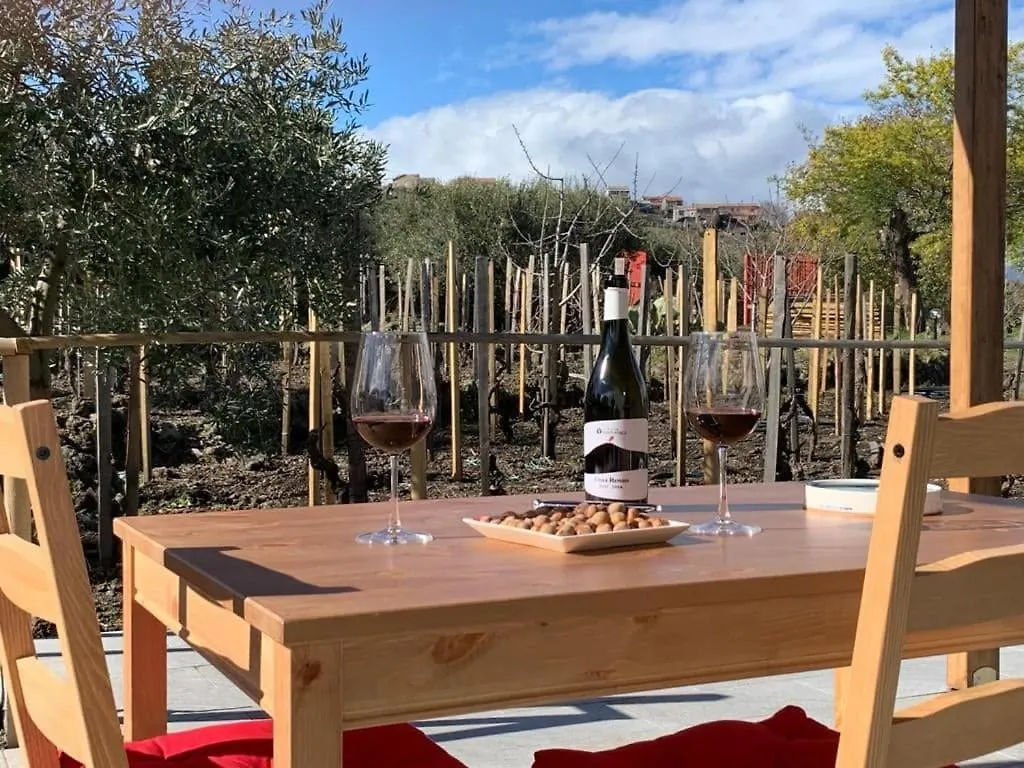 La casa nel vigneto di Tenuta Bastonaca Villa Solicchiata