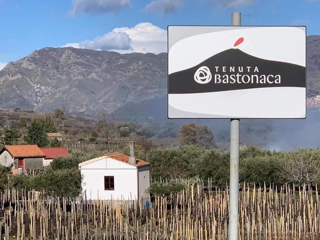 La casa nel vigneto di Tenuta Bastonaca Villa Solicchiata 0*,  Italia