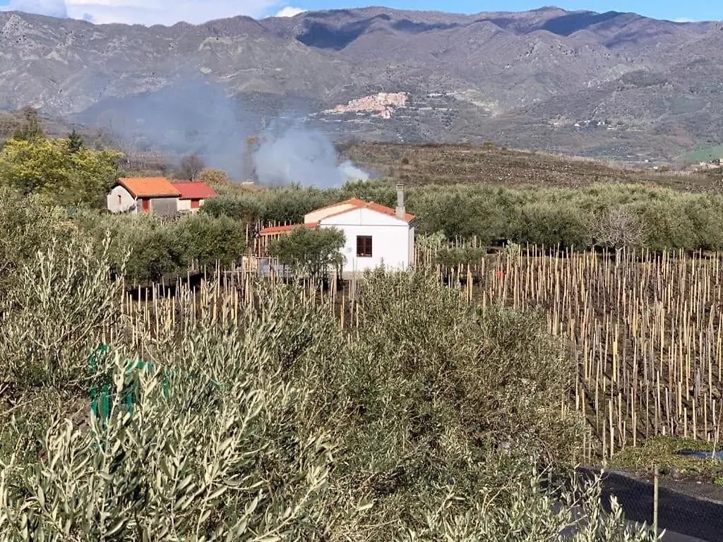La casa nel vigneto di Tenuta Bastonaca Villa Solicchiata